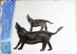 animal project (1)p